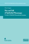 Rise and Fall of Epithelial Phenotype