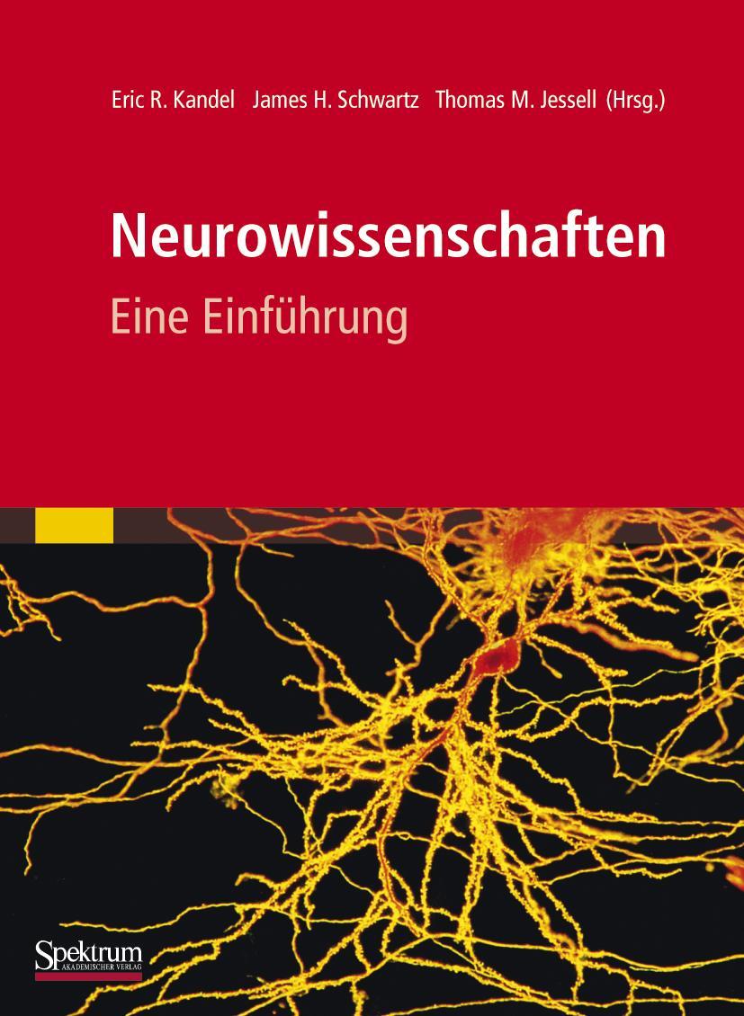 Neurowissenschaften