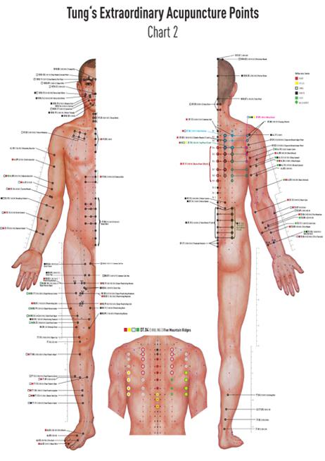 Akupunkturtafel Chart 2 Tung's Extraordinary Acupuncture Points on the regular channels