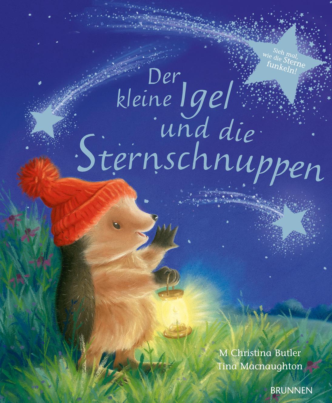 Der kleine Igel und die Sternschnuppen