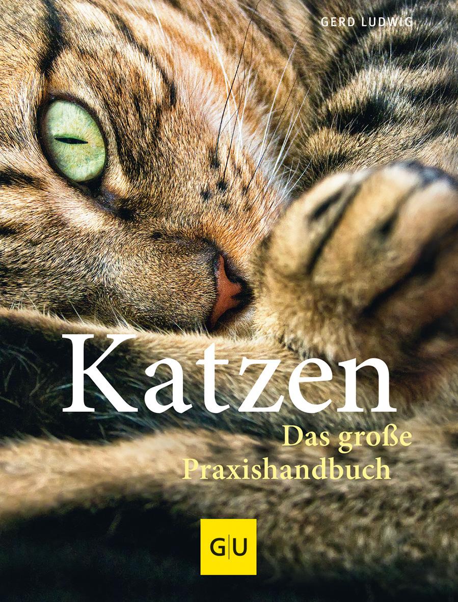 Katzen. Das große Praxishandbuch