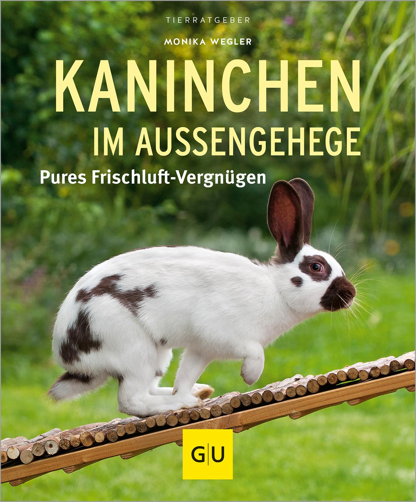 Kaninchen im Außengehege