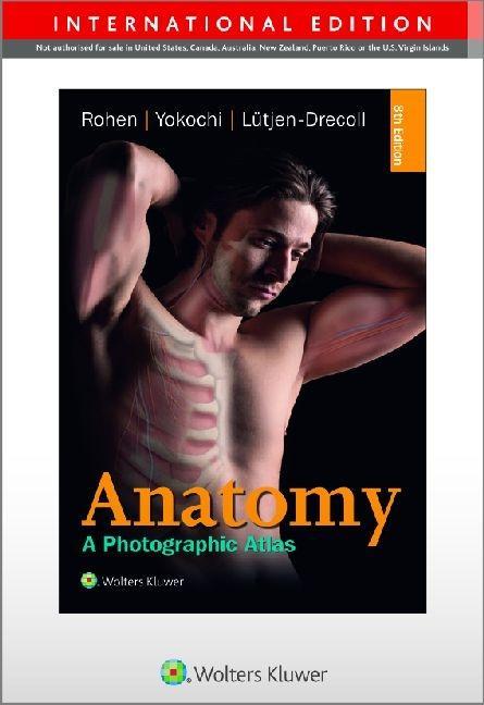 Color Atlas of Anatomy - international edition