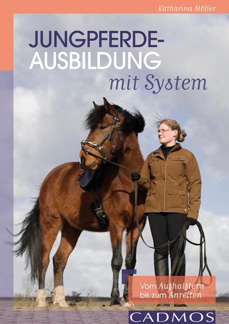 Jungpferdeausbildung mit System