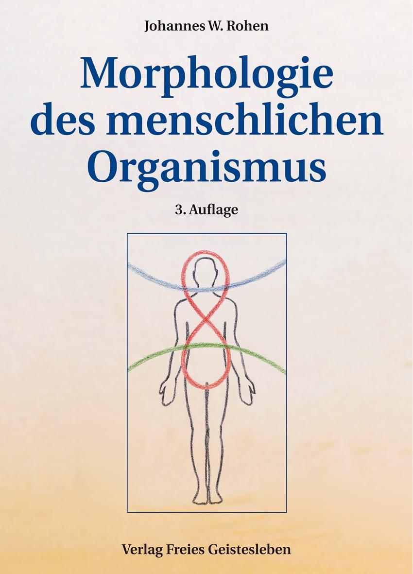 Morphologie des menschlichen Organismus