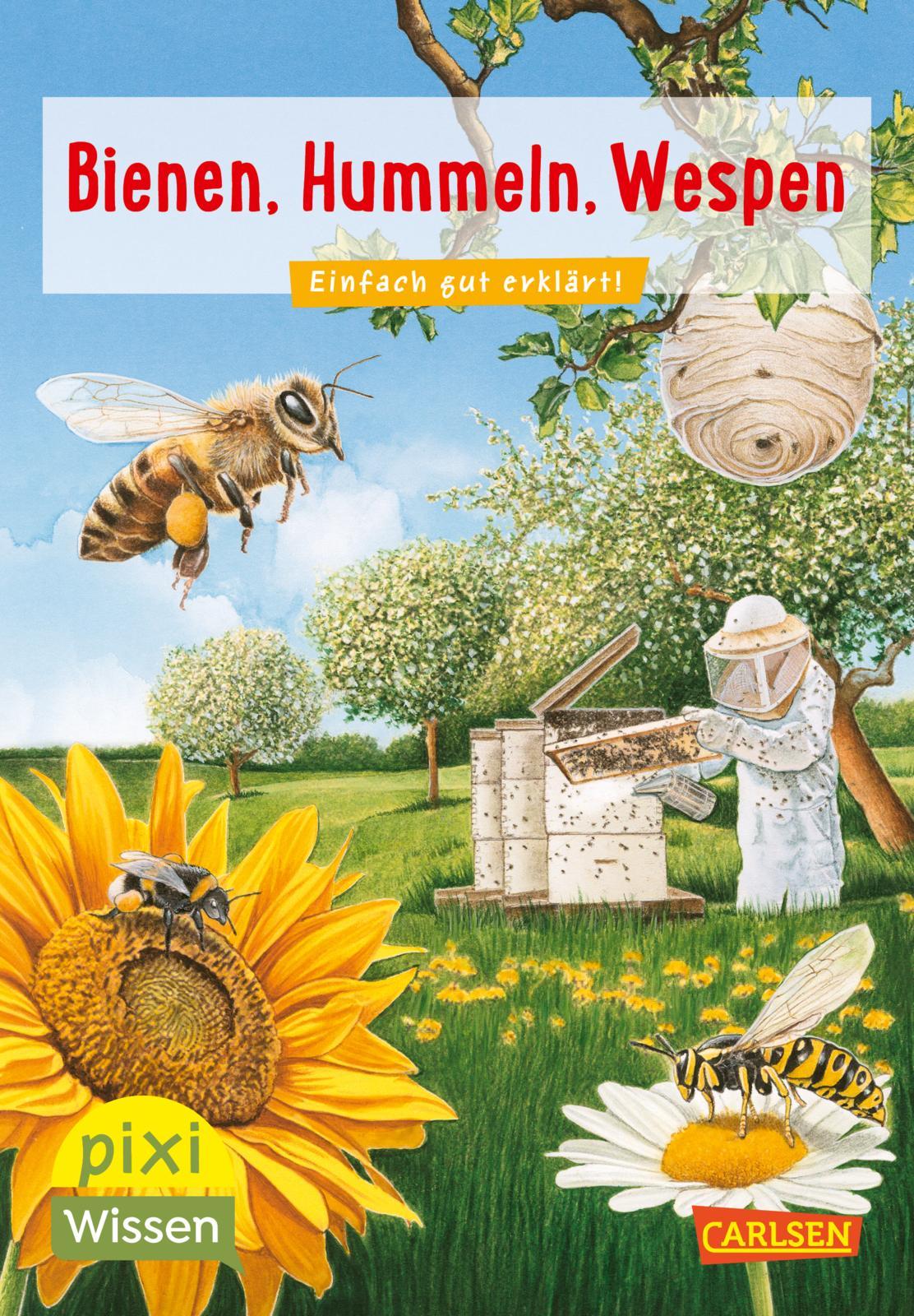 VE 5: Bienen, Hummeln, Wespen