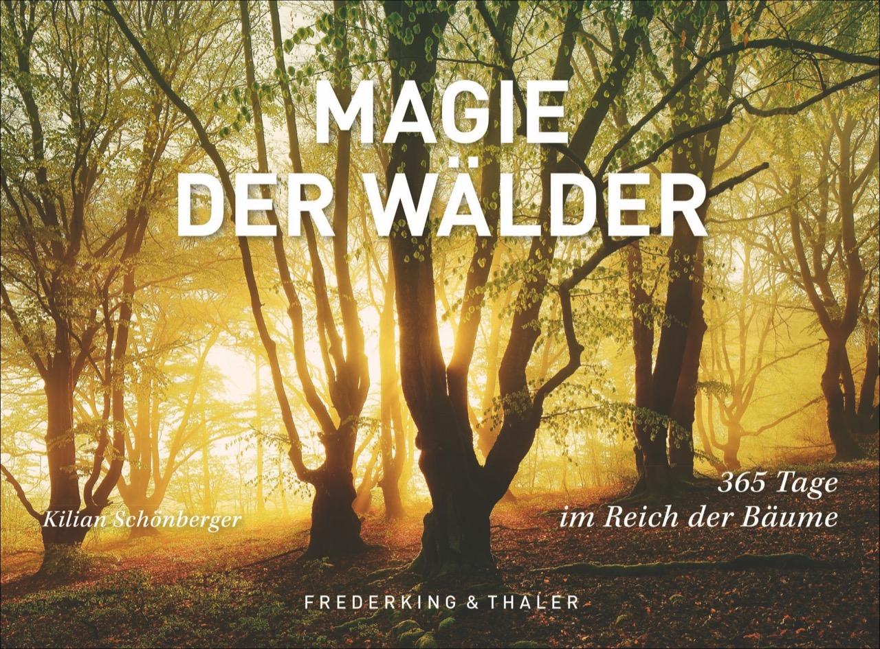 Tischaufsteller Magie der Wälder