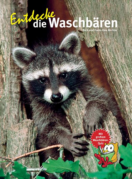 Entdecke die Waschbären