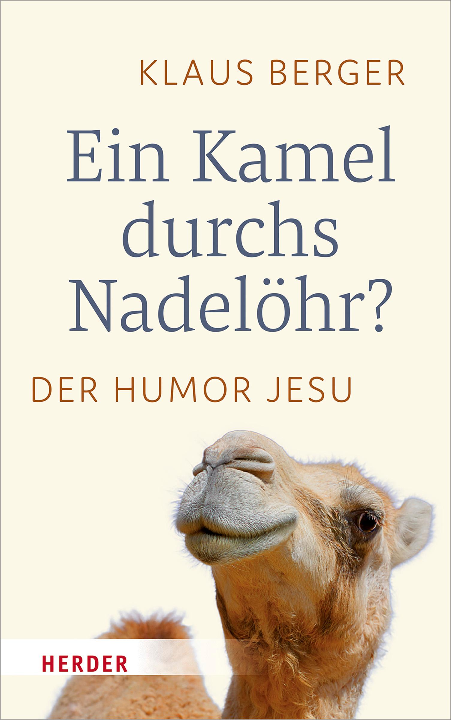 Ein Kamel durchs Nadelöhr?