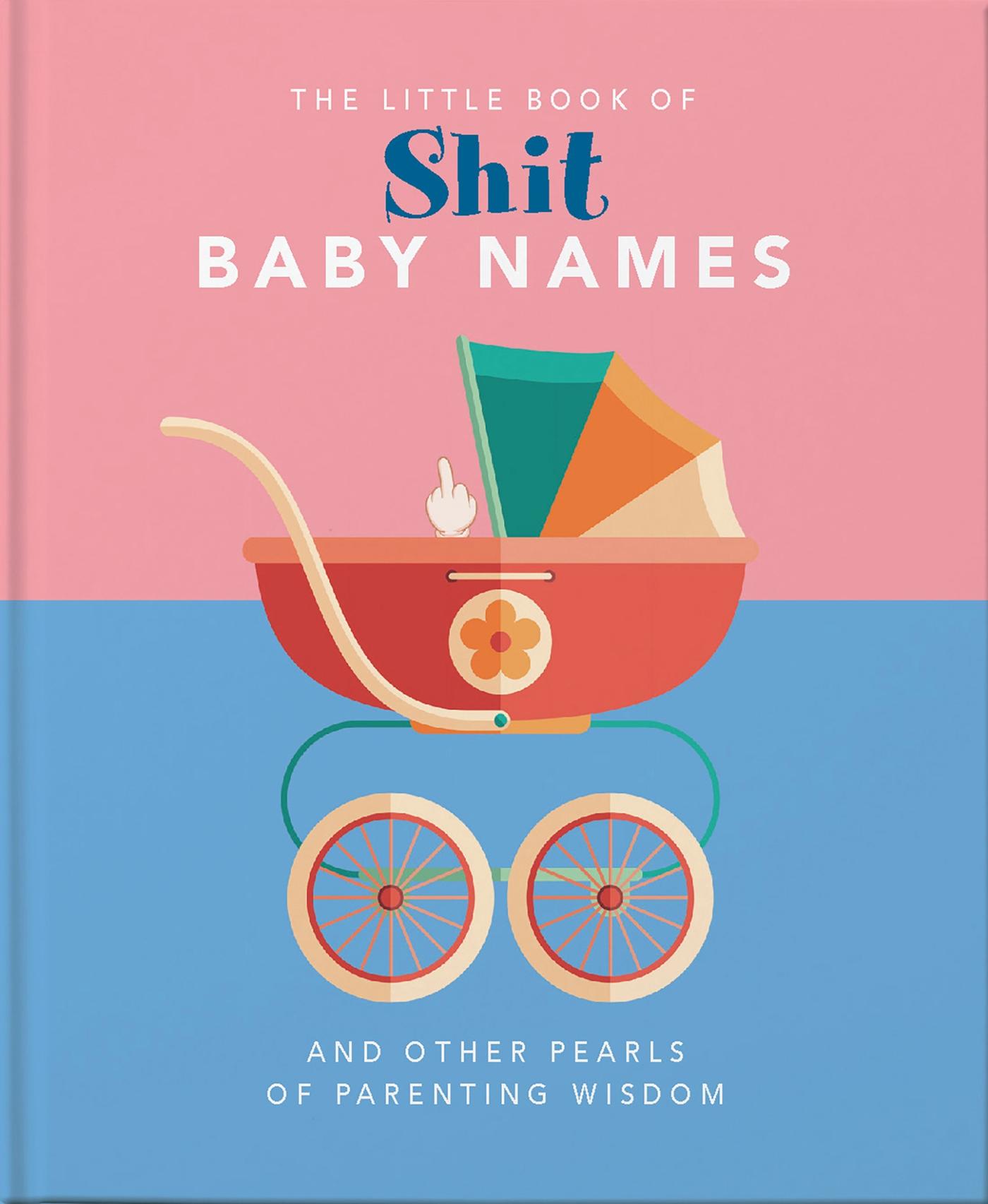 Little Book of Shit Baby Names