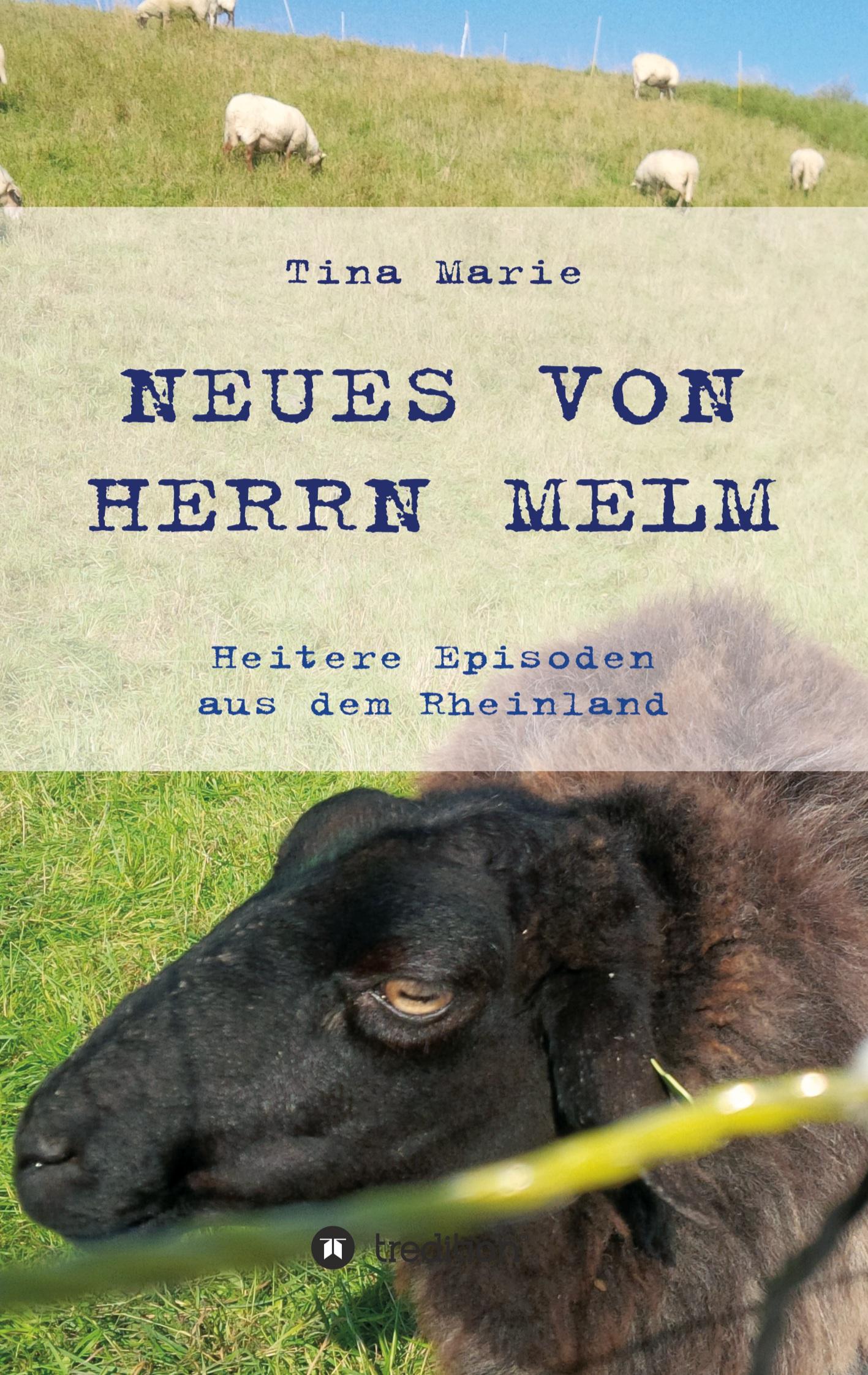 Neues von Herrn Melm