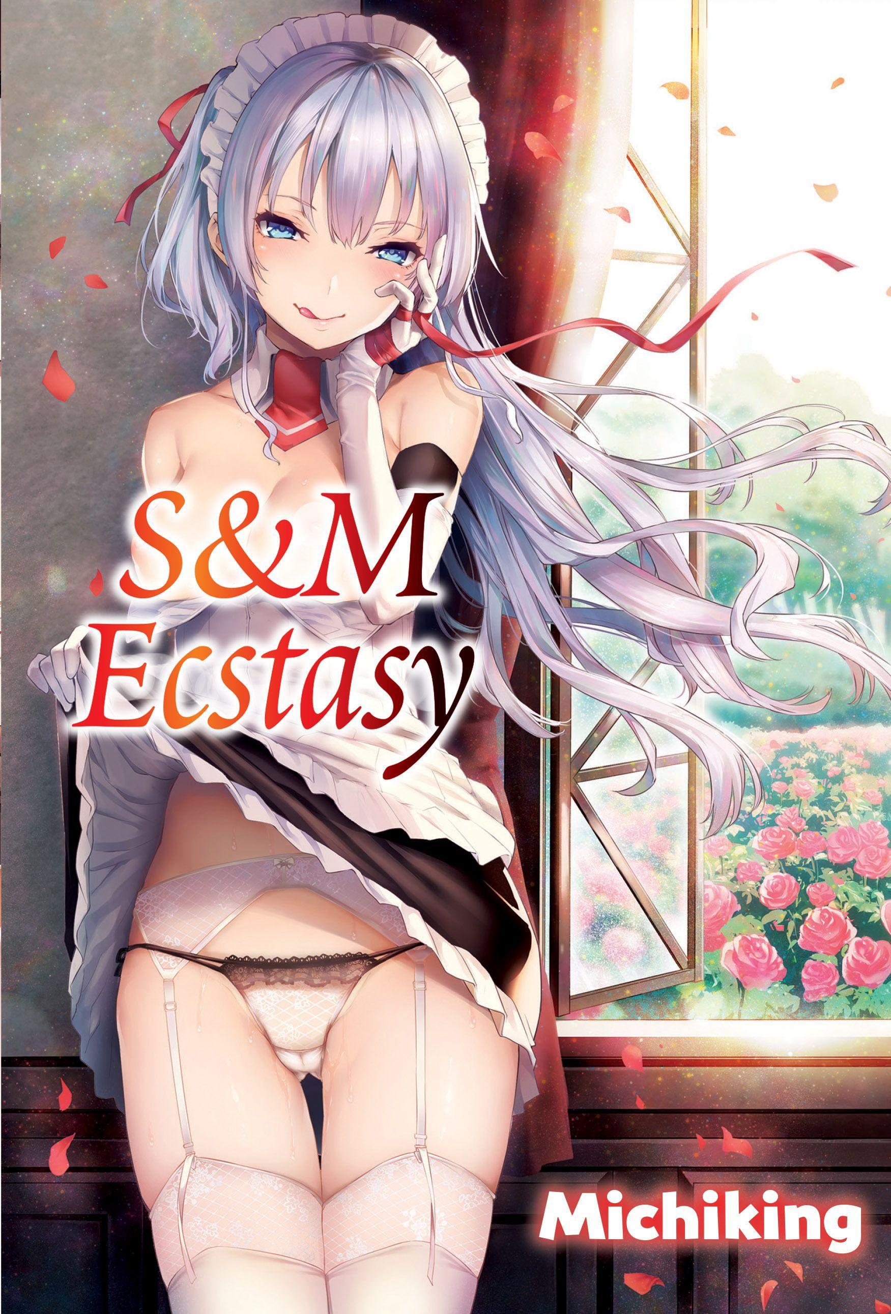 S&m Ecstasy