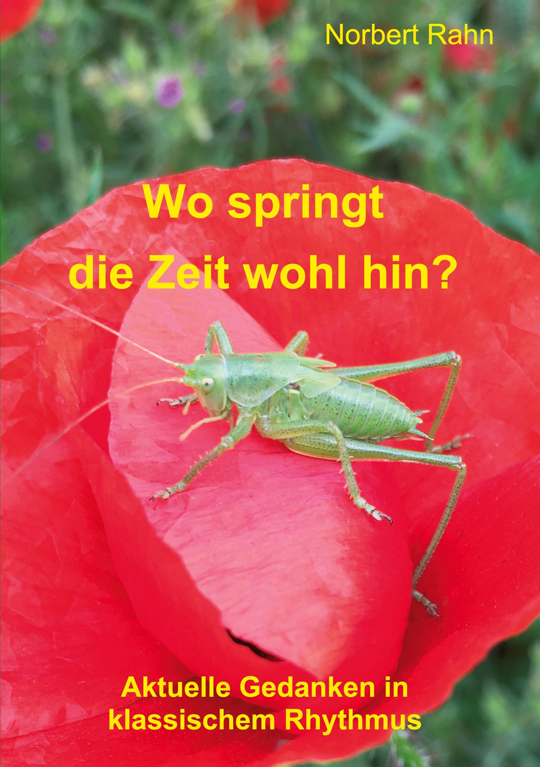 Wo springt die Zeit wohl hin?