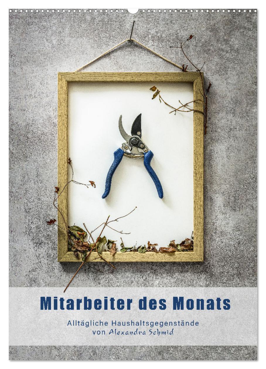 Mitarbeiter des Monats (Wandkalender 2025 DIN A2 hoch), CALVENDO Monatskalender