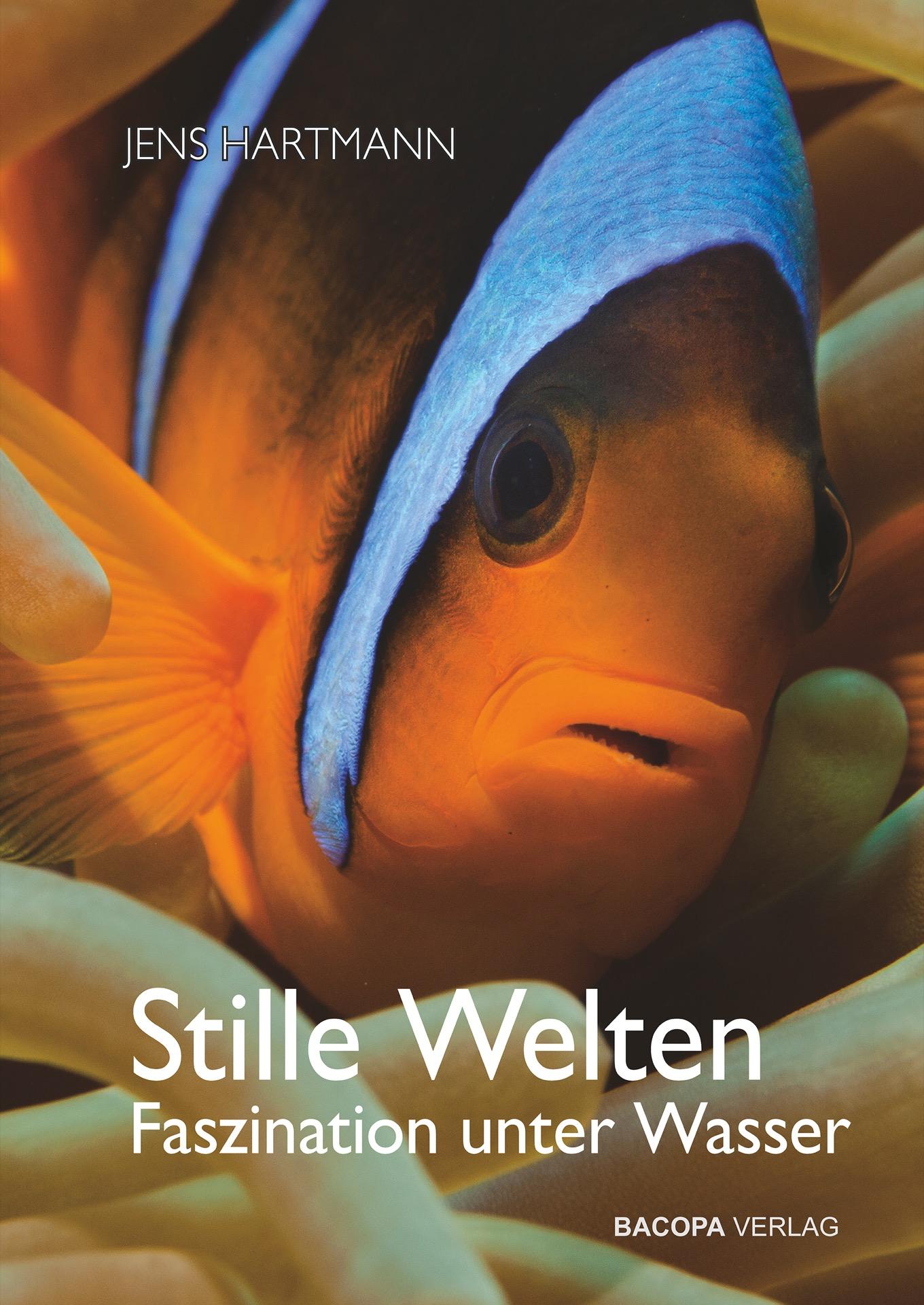 Stille Welten