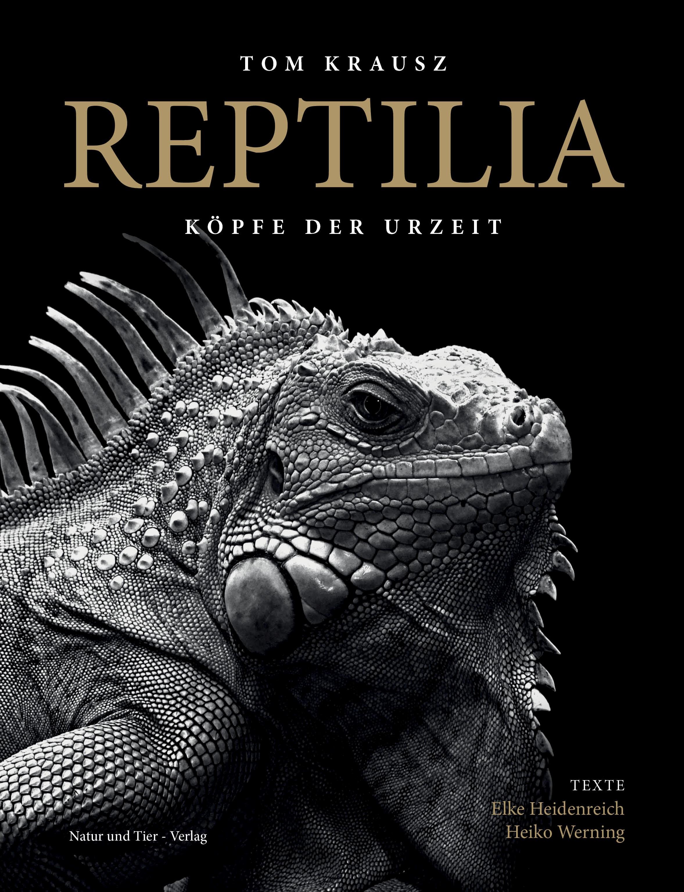 REPTILIA