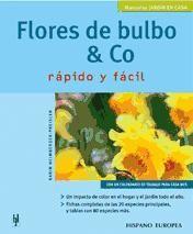 Flores de bulbo & co