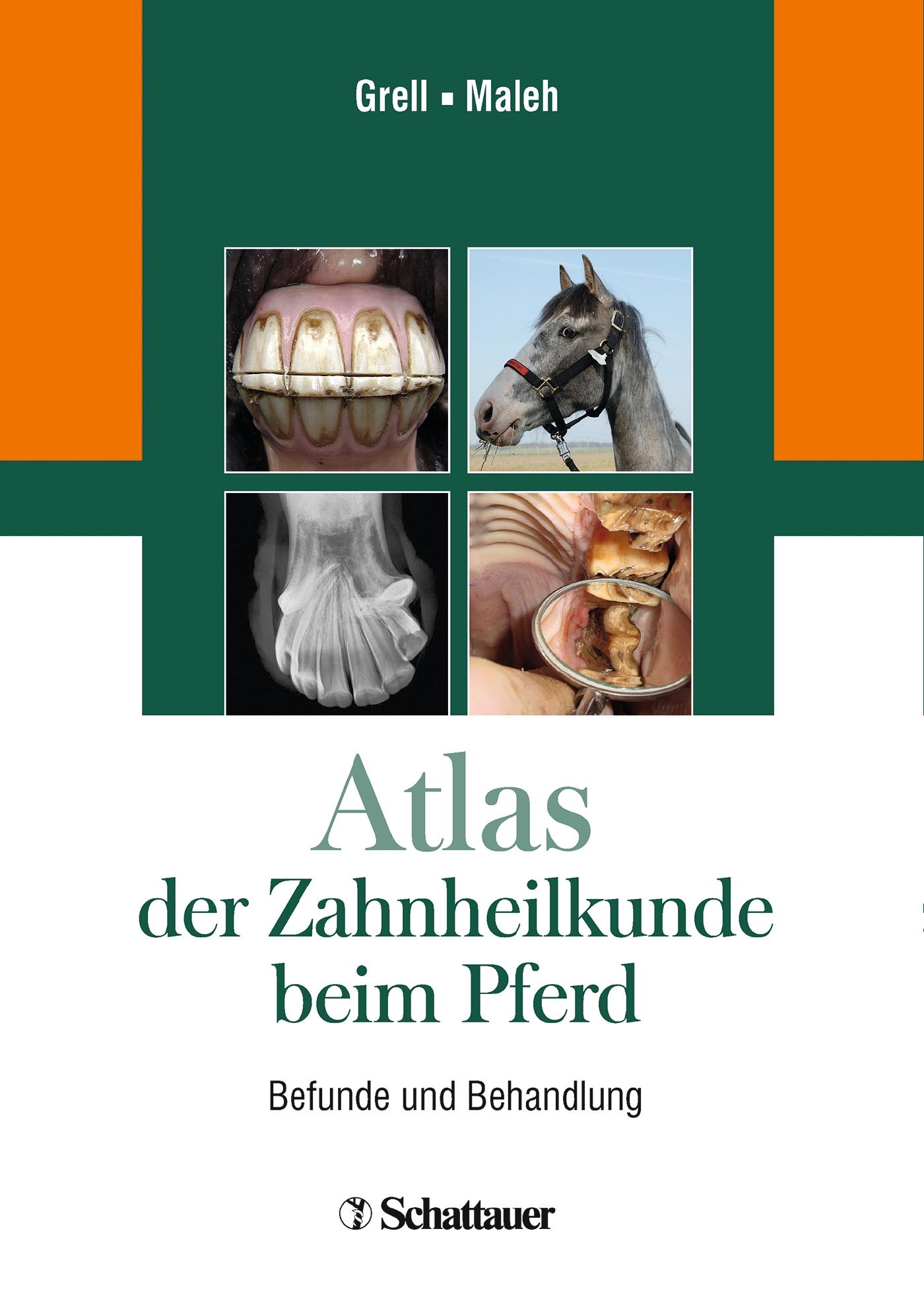 Atlas der Zahnheilkunde beim Pferd