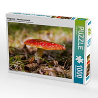 CALVENDO Puzzle Fliegenpilz / Amanita muscaria 1000 Teile Lege-Größe 64 x 48 cm Foto-Puzzle Bild von Janita Webeler