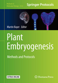 Plant Embryogenesis