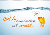 Goldy mein Goldfisch ist verliebt! (Wandkalender 2021 DIN A3 quer)