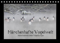 Märchenhafte Vogelwelt (Tischkalender 2022 DIN A5 quer)