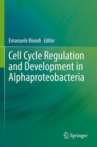 Cell Cycle Regulation and Development in Alphaproteobacteria