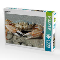 CALVENDO Puzzle Strandkrabbe 1000 Teile Lege-Größe 64 x 48 cm Foto-Puzzle Bild von Holger Felix