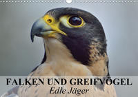 Falken und Greifvögel. Edle Jäger (Wandkalender 2020 DIN A3 quer)