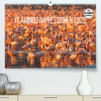 Flamingo Impressionen 2023 (Premium, hochwertiger DIN A2 Wandkalender 2023, Kunstdruck in Hochglanz)