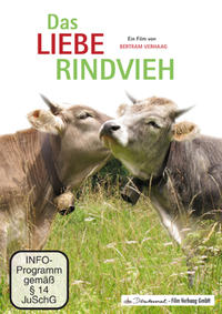 Das liebe Rindvieh