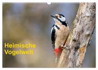 Heimische Vogelwelt (Wandkalender 2025 DIN A3 quer), CALVENDO Monatskalender