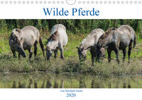 Wilde Pferde von Michael Jaster (Wandkalender 2020 DIN A4 quer)