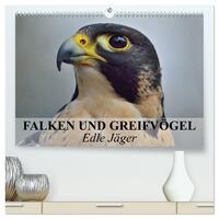 Falken und Greifvögel. Edle Jäger (hochwertiger Premium Wandkalender 2025 DIN A2 quer), Kunstdruck in Hochglanz