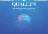 Quallen. Die Welt der Medusen (Wandkalender 2021 DIN A3 quer)