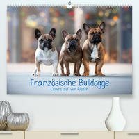 Französische Bulldogge - Clowns auf vier Pfoten (Premium, hochwertiger DIN A2 Wandkalender 2021, Kunstdruck in Hochglanz)