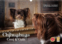 Chihuahuas - Cool and Cute (Wandkalender 2022 DIN A3 quer)