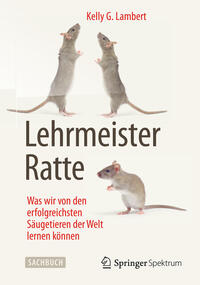 Lehrmeister Ratte