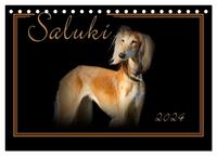 Saluki 2024 (Tischkalender 2024 DIN A5 quer), CALVENDO Monatskalender