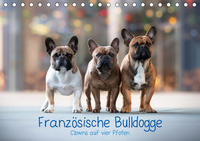 Französische Bulldogge - Clowns auf vier Pfoten (Tischkalender 2020 DIN A5 quer)