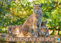 Dem Luchs auf der Spur (Wandkalender 2021 DIN A4 quer)