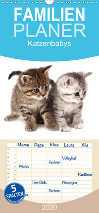 Katzenbabys - Familienplaner hoch (Wandkalender 2020 , 21 cm x 45 cm, hoch)