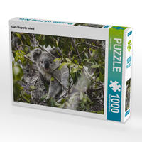 CALVENDO Puzzle Koala Magnetic Island 1000 Teile Lege-Größe 64 x 48 cm Foto-Puzzle Bild von Fabian Zocher