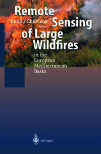 Remote Sensing of Large Wildfires