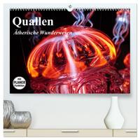 Quallen. Ätherische Wunderwesen (hochwertiger Premium Wandkalender 2025 DIN A2 quer), Kunstdruck in Hochglanz