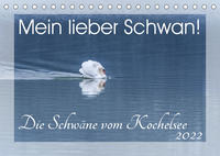 Mein lieber Schwan! Die Schwäne vom Kochelsee. (Tischkalender 2022 DIN A5 quer)