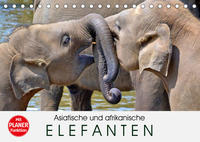 Asiatische und afrikanische Elefanten (Tischkalender 2023 DIN A5 quer)