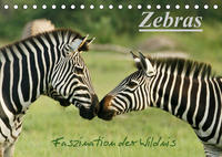 Zebras - Faszination der Wildnis (Tischkalender 2022 DIN A5 quer)