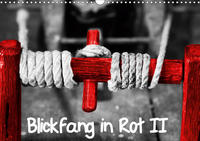 Blickfang in Rot (Wandkalender 2021 DIN A3 quer)