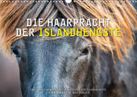 Die Haarpracht der Islandhengste. (Wandkalender 2022 DIN A3 quer)